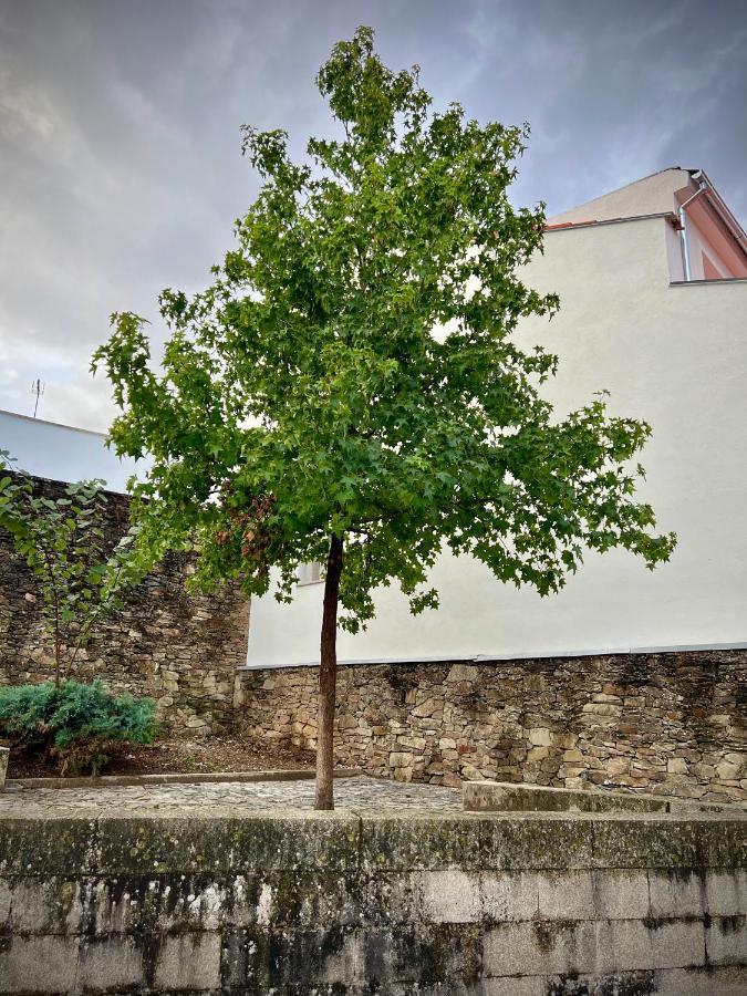 Cantinho Do Castelo Bragança Dış mekan fotoğraf
